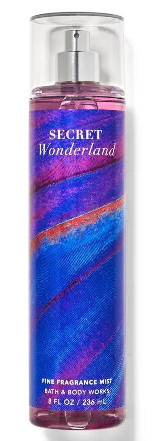 بادی میست بث اند بادی ورکز مدل سیکرت واندرلند