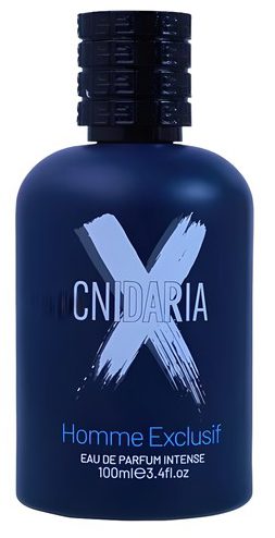 کنیداریا ایکس ابسلو