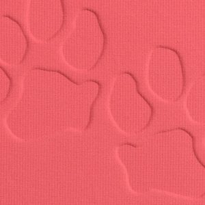 رژگونه کالرپاپ های موزیکال2